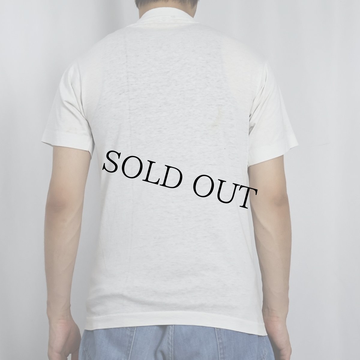 画像3: 70〜80's "Pig-Out on reading!" ブタイラストプリントTシャツ (3)