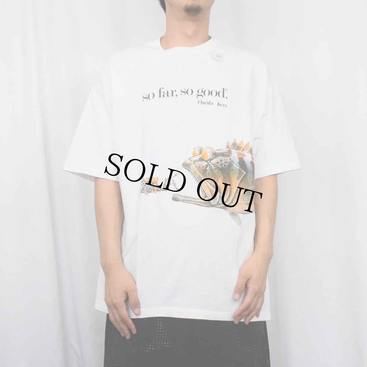 画像3: 90's USA製 "so far, so good." 魚プリントTシャツ XL (3)
