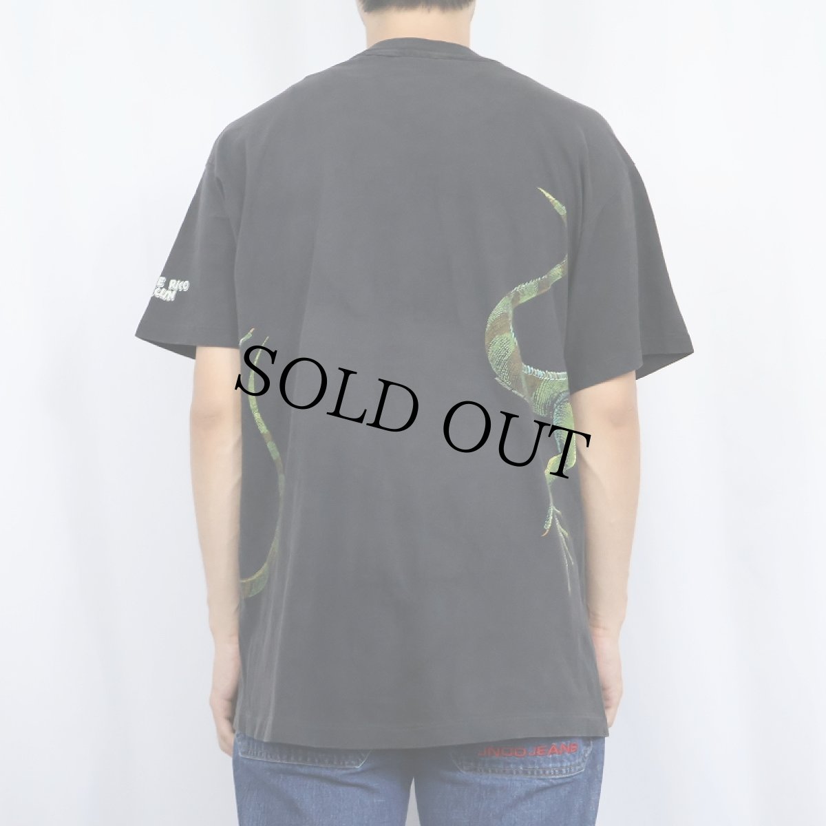 画像4: 90's HARLEQUIN NATURE GRAPHICS "JUNGLE RICO CANCUN" トカゲ 巻きプリントTシャツ BLACK (4)