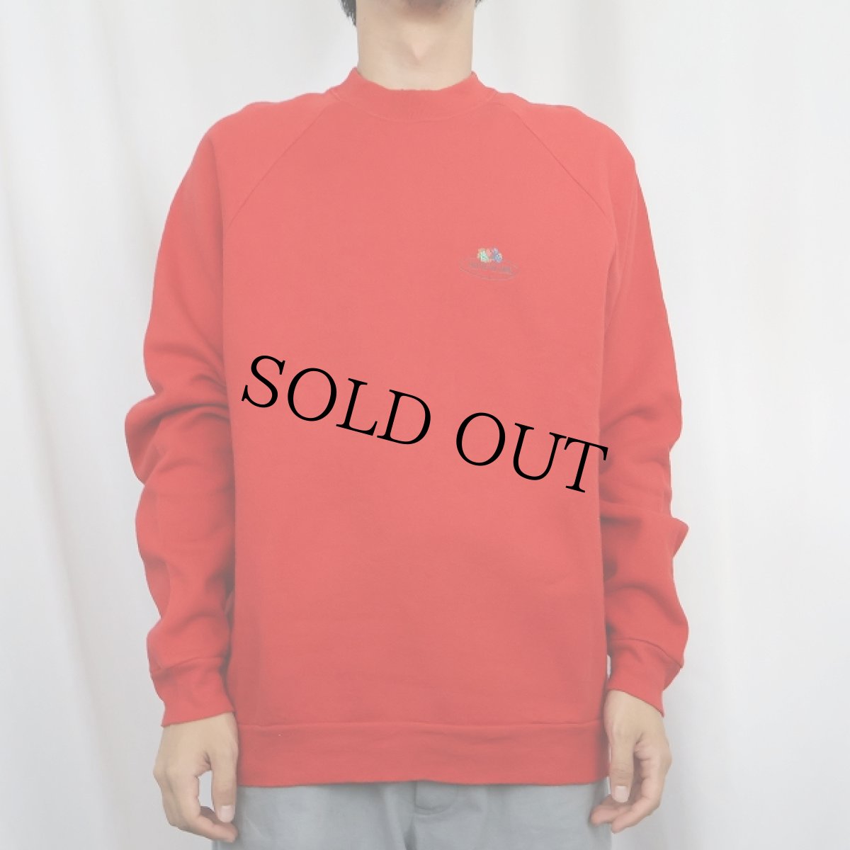 画像2: FRUIT OF THE LOOM ロゴプリントラグランスウェット L (2)