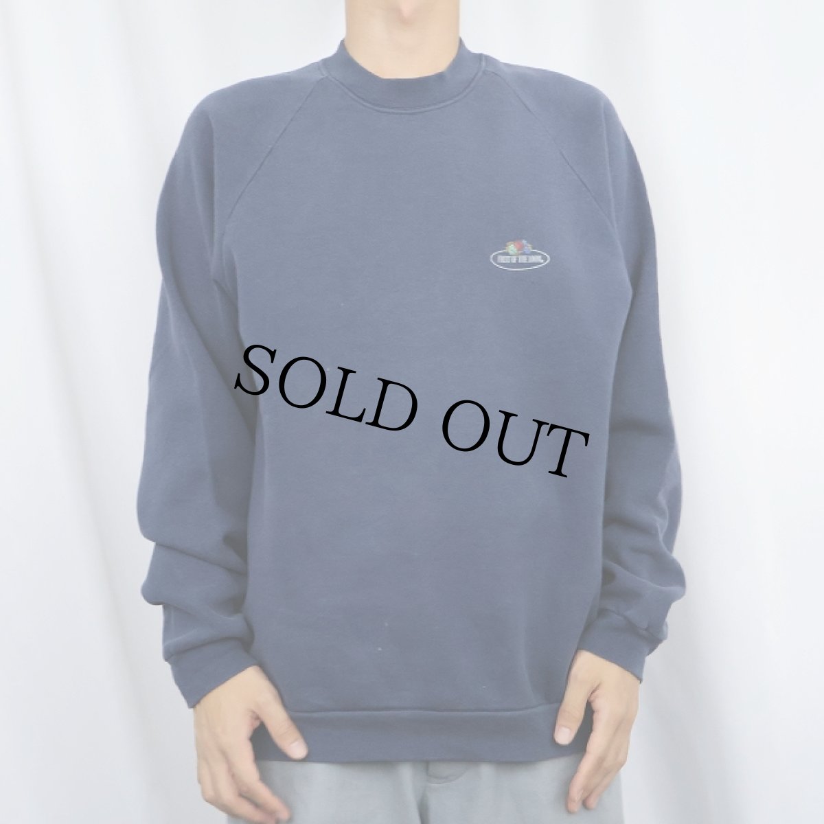 画像2: FRUIT OF THE LOOM ロゴプリントラグランスウェット NAVY L (2)