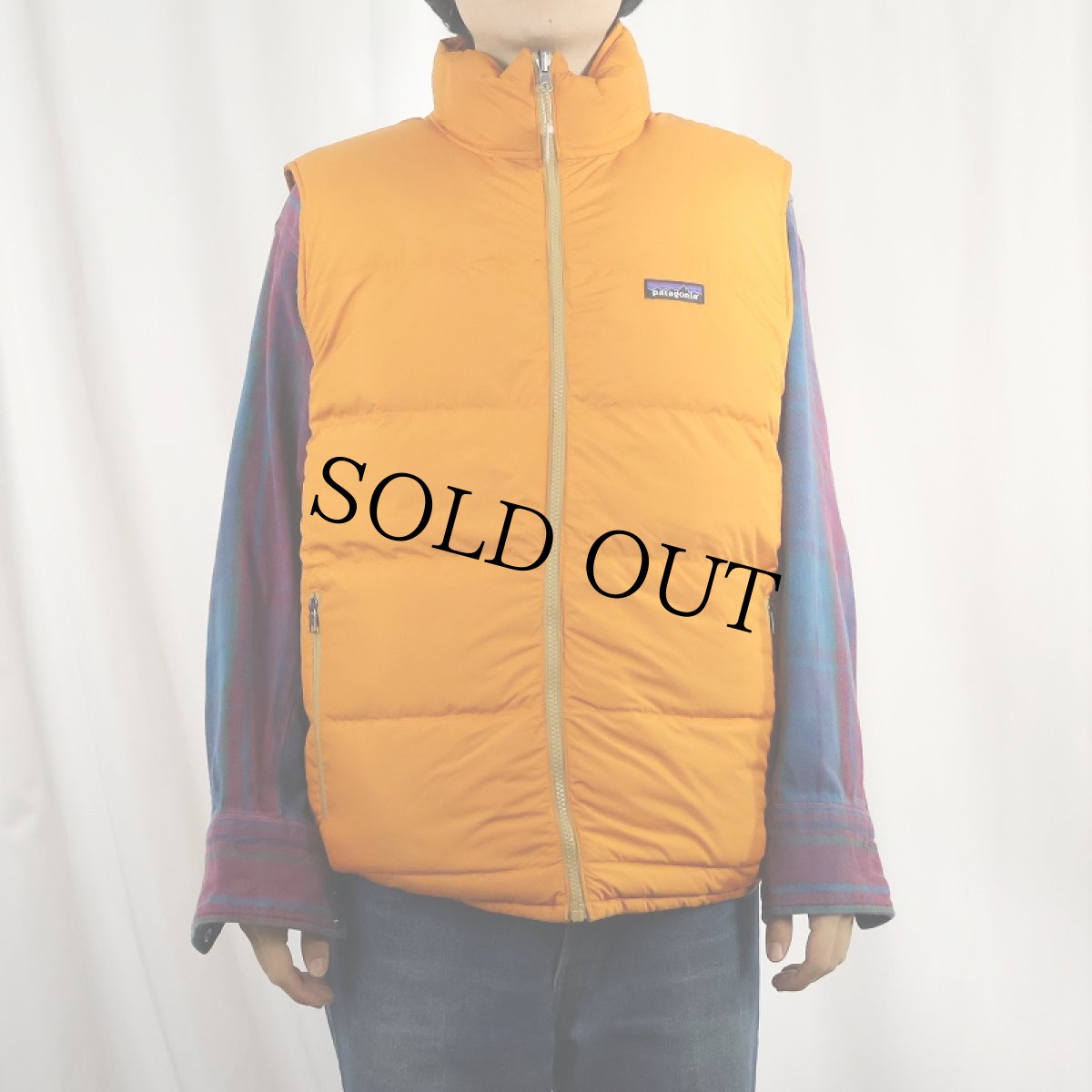 画像3: 2018AW Patagonia リバーシブル ダウンベスト (3)