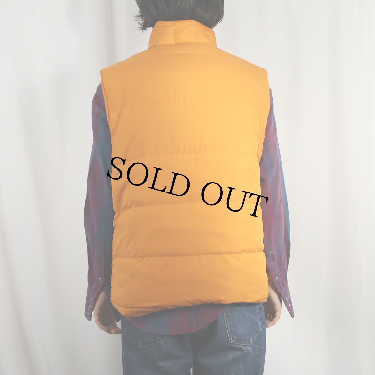 画像4: 2018AW Patagonia リバーシブル ダウンベスト (4)