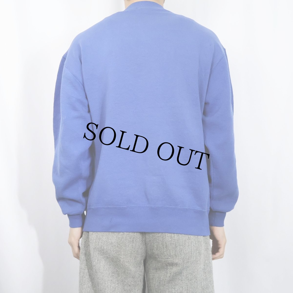 画像3: 90's RUSSELL ATHLETIC USA製 前V 無地スウェット L (3)