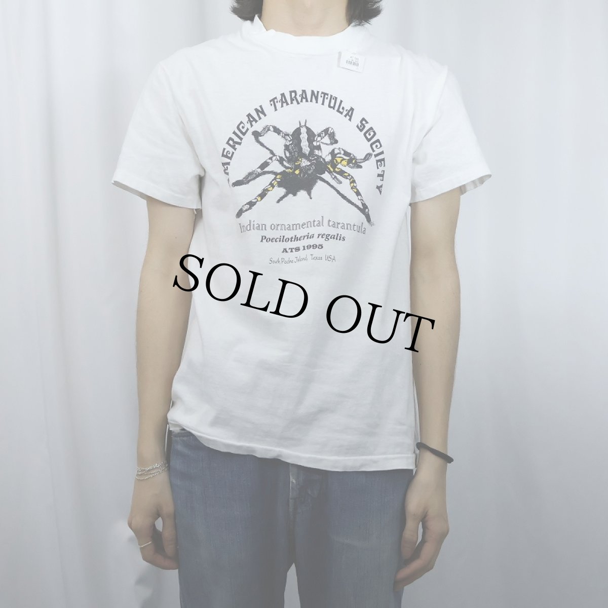 画像2: 90's American Tarantula Society USA製 非営利団体プリントTシャツ M (2)