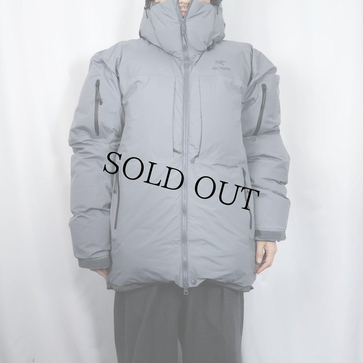 画像2: ARC'TERYX CANADA製 LEAF COLD WX PARKA SVX M (2)