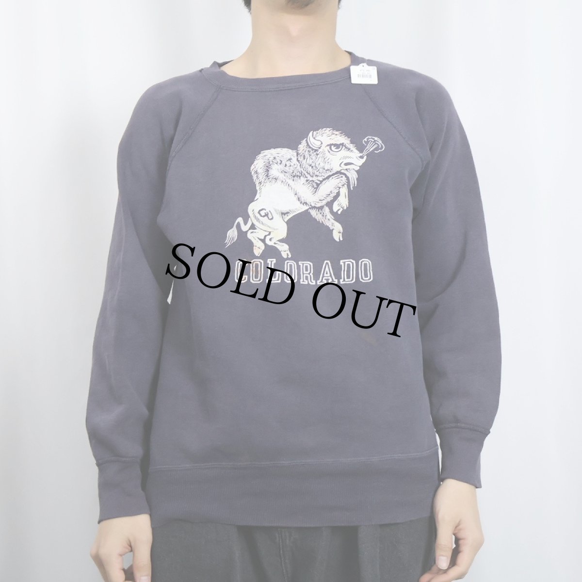 画像2: 60's "COLORADO" 脇下三角ガゼット カラーフロッキープリントラグランスウェット NAVY (2)