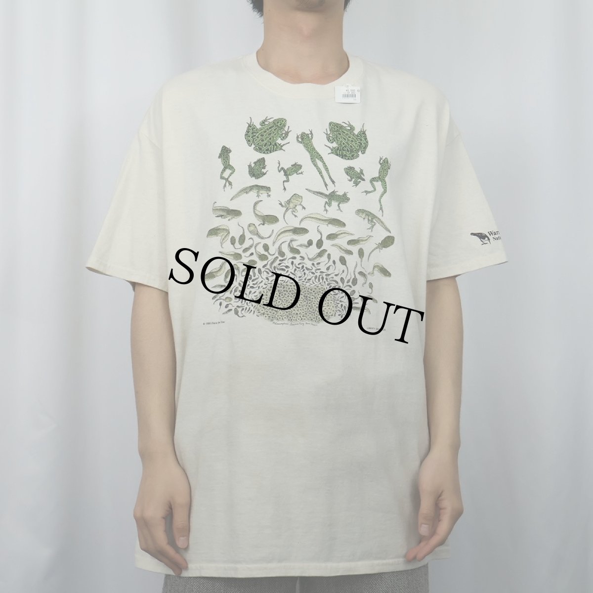 画像2: 90's LIBERTY GRAPHICS "Diana Dee Tyler" USA製 カエルイラストプリントTシャツ (2)