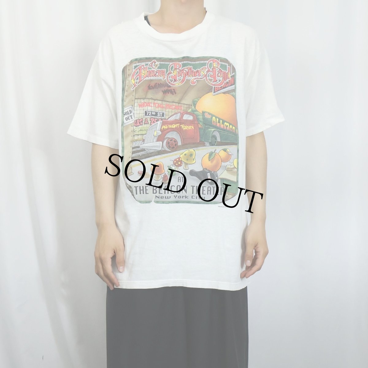 画像3: 90's The Allman Brothers Band USA製 ロックバンドツアーTシャツ L (3)