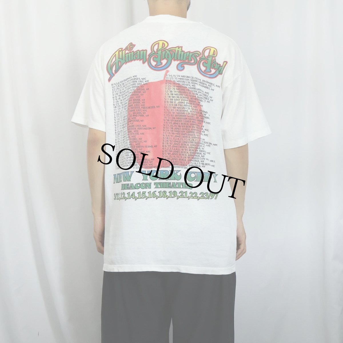 画像4: 90's The Allman Brothers Band USA製 ロックバンドツアーTシャツ L (4)