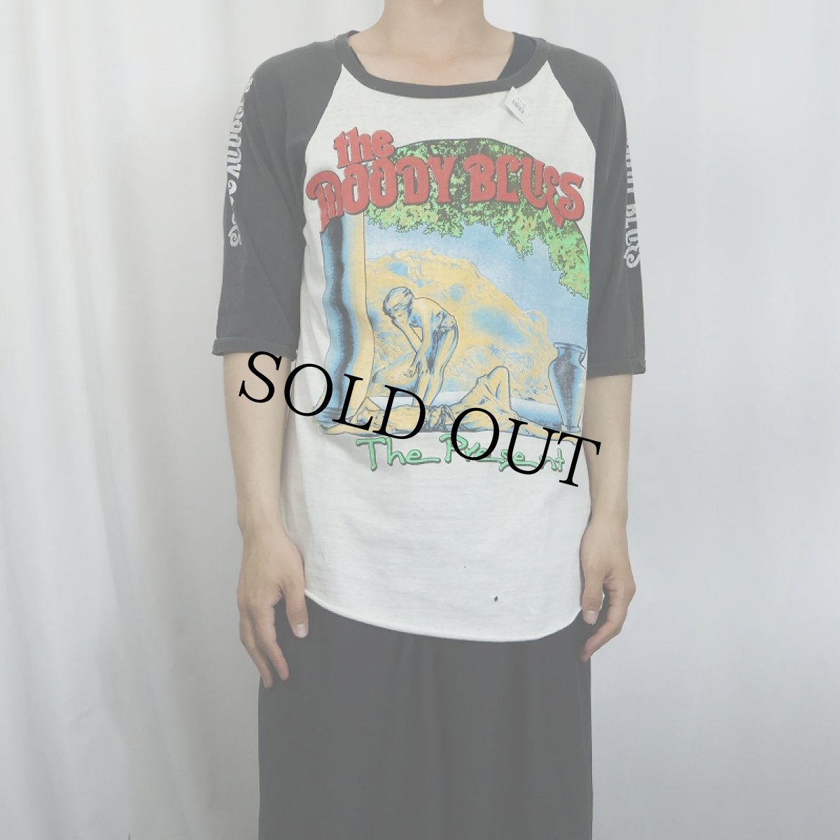 画像3: 70〜80's The Moody Blues ロックバンドラグランTシャツ (3)