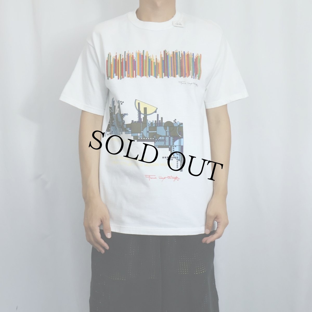画像3: Frank Lloyd Wright 建築家 アートプリントTシャツ M (3)