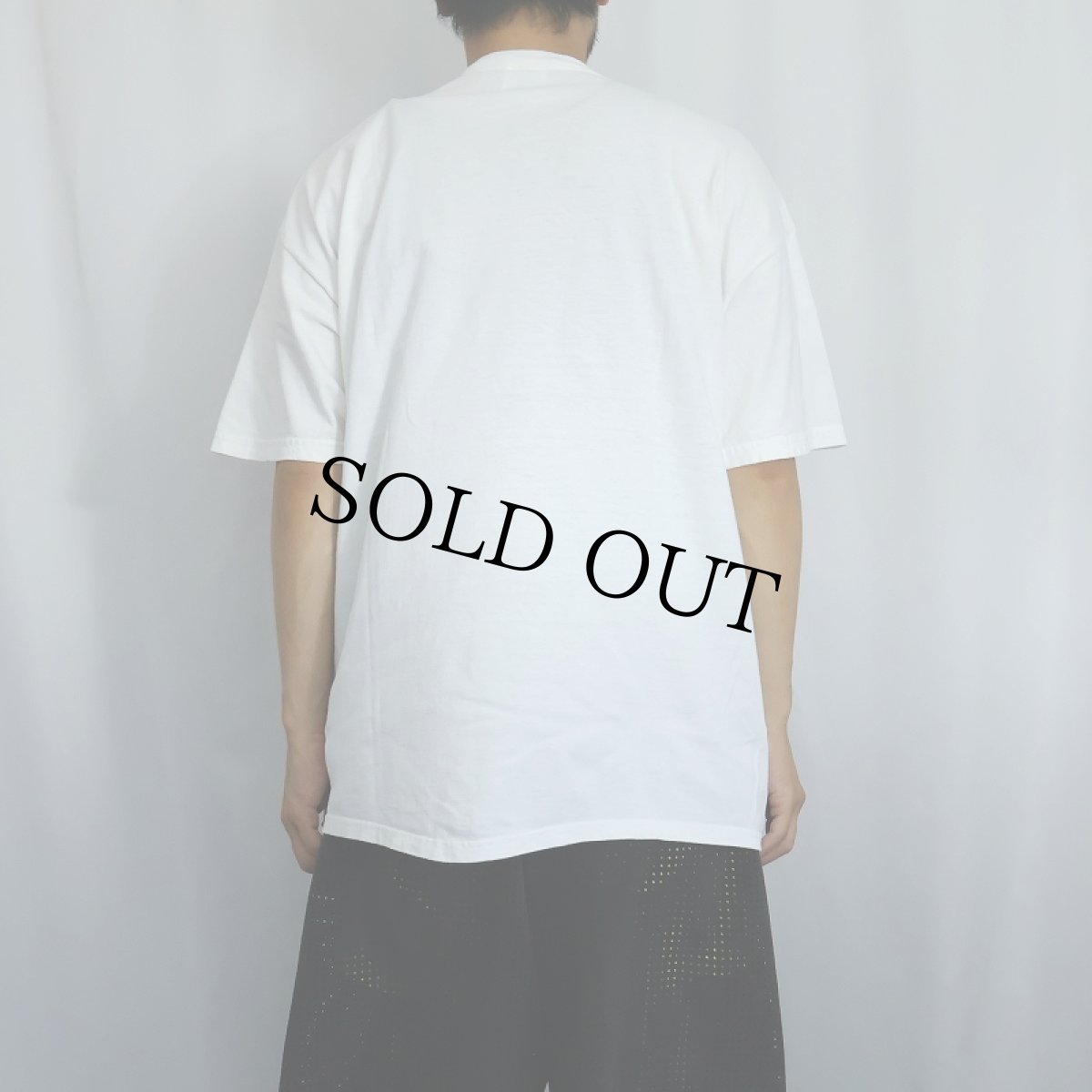 画像3: 90's〜 Frank Lloyd Wright "THE FOUR ORGANIC COMMANDMENTS" 建築家 アートプリントTシャツ XL (3)
