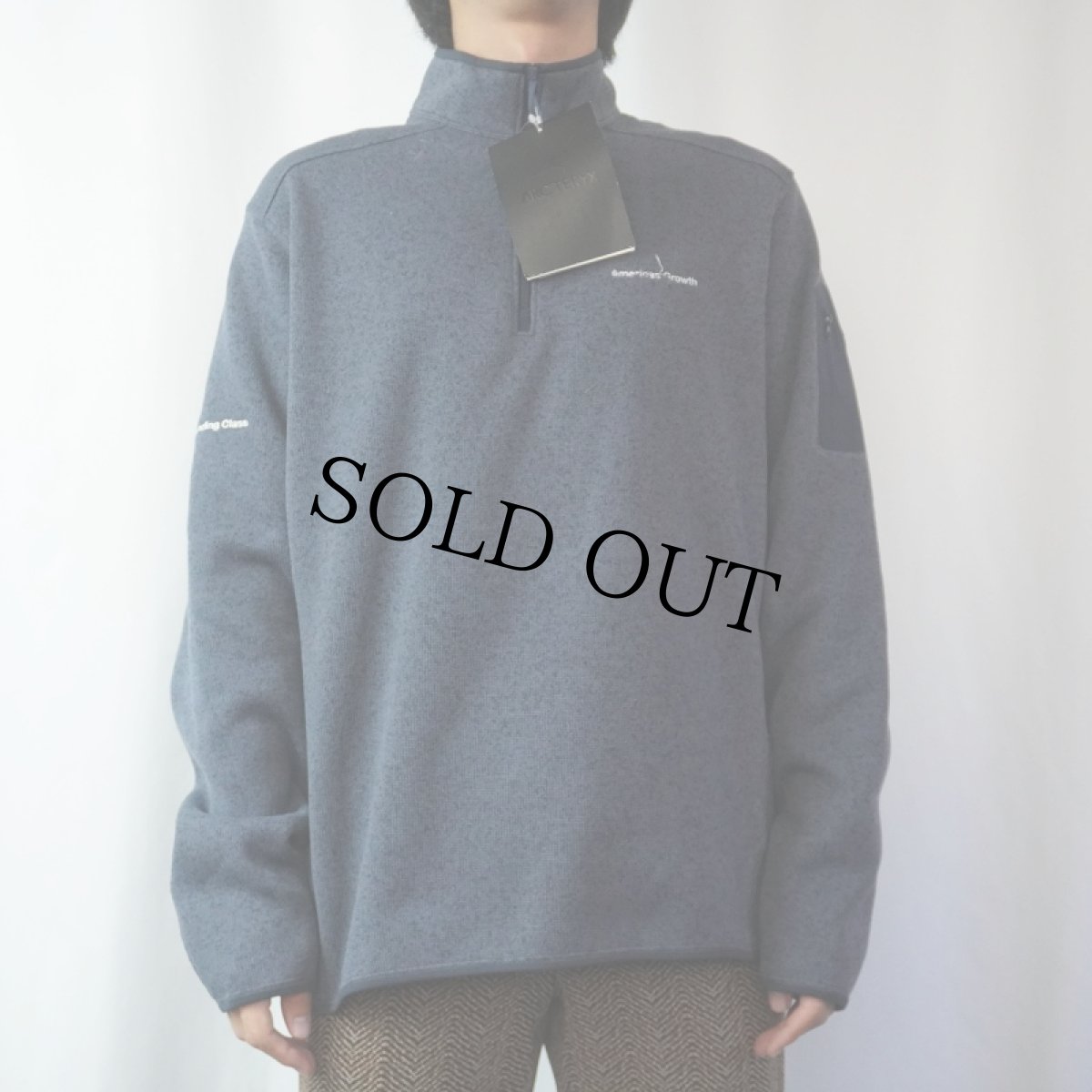 画像2: ARC'TERYX COVERT 1/2 ZIP L タグ付き未使用 (2)