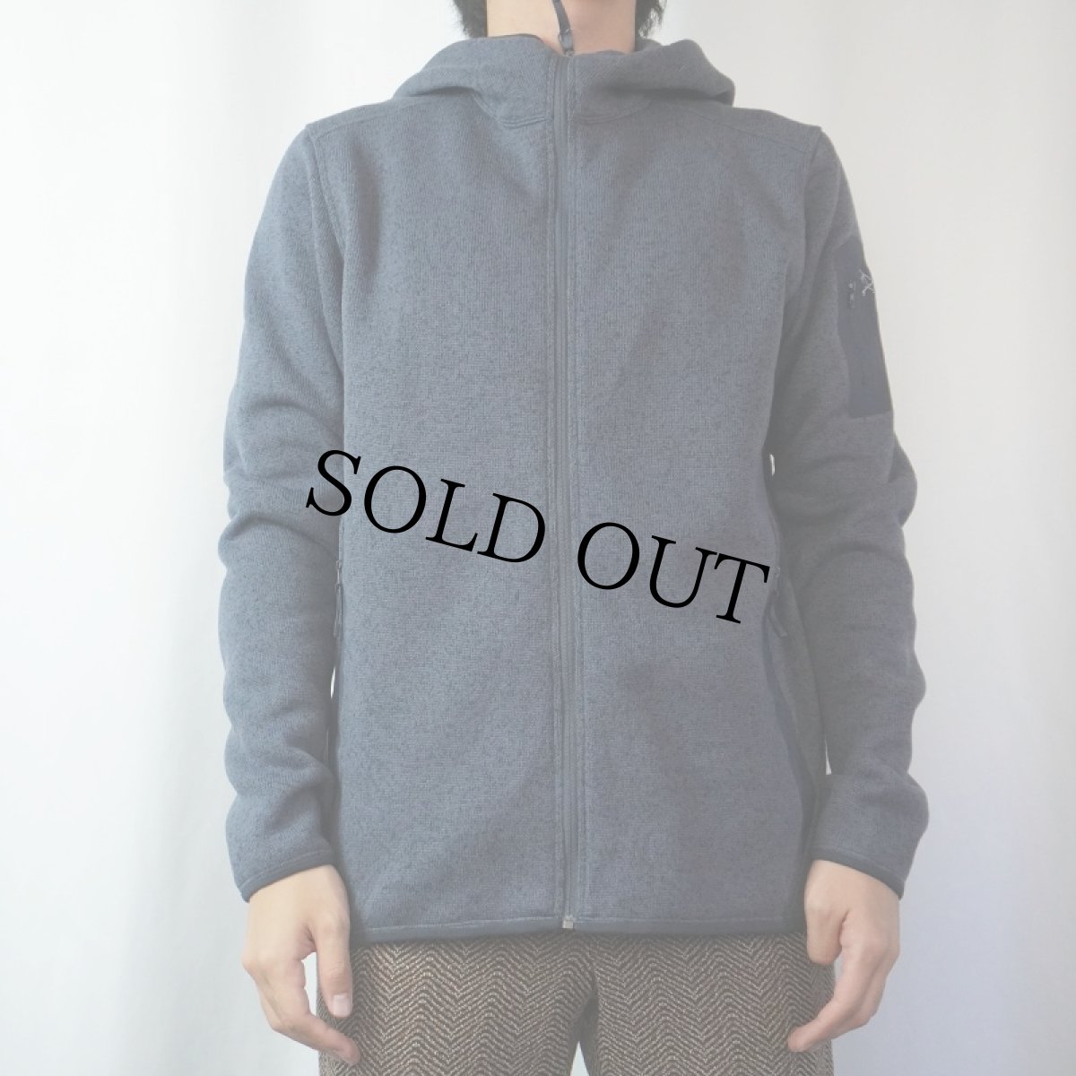 画像2: ARC'TERYX COVERT HOODY L (2)