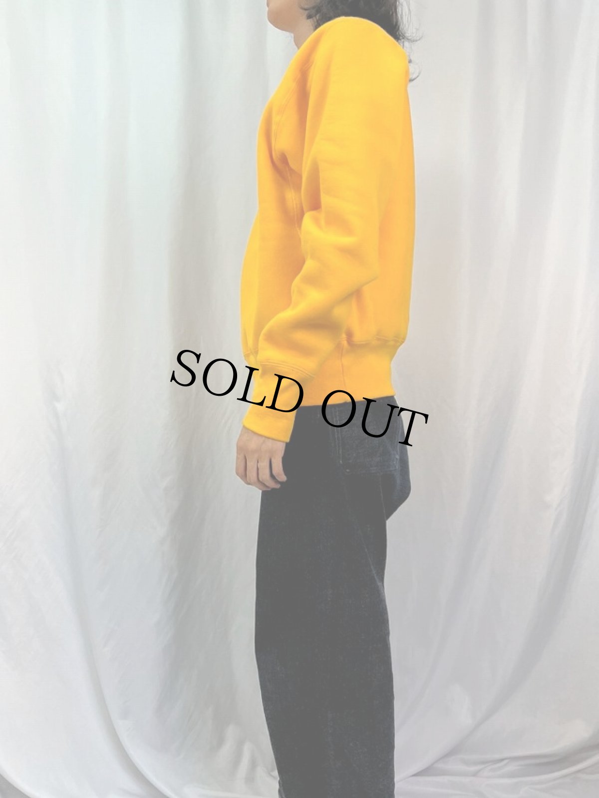 画像3: 90's CAMBER USA製 "ALEXANDRIA iOCASIO" プリントスウェット Sssss (3)