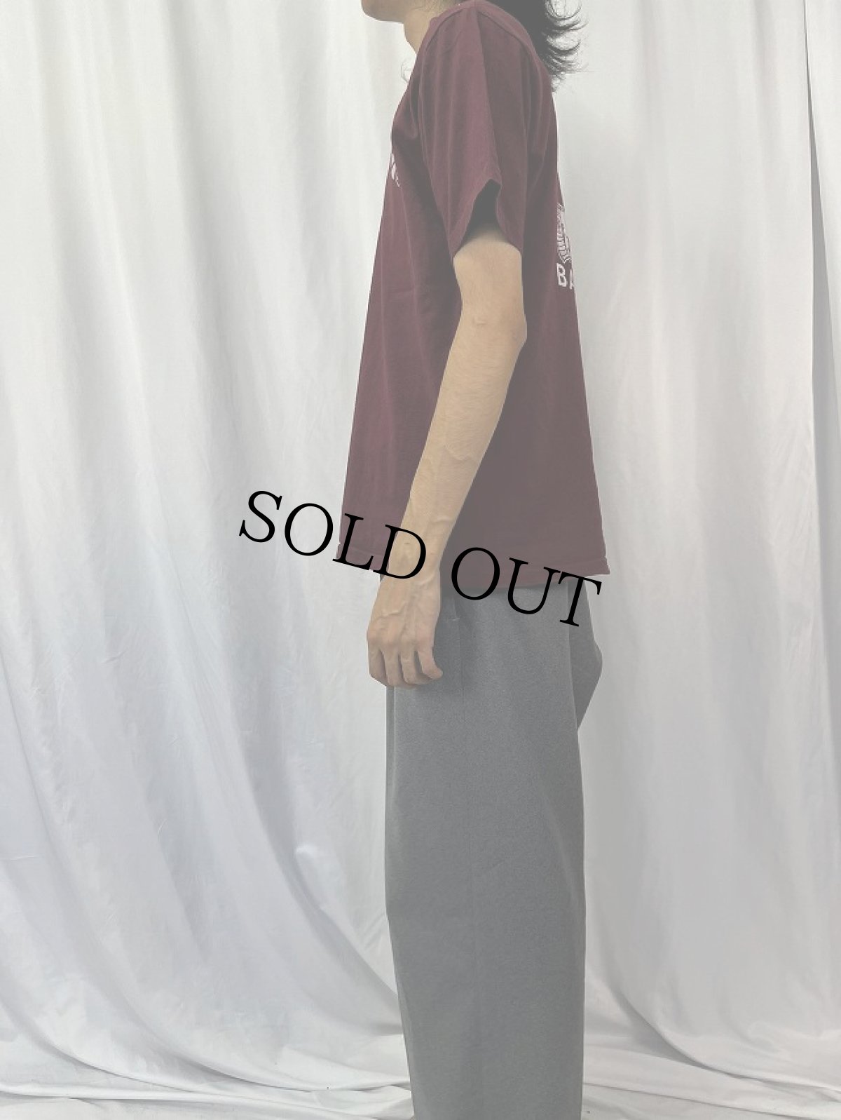 画像3: 70's HI CRU STEDMAN USA製 "I'M WITH BAKATARE!" プリントTシャツ (3)