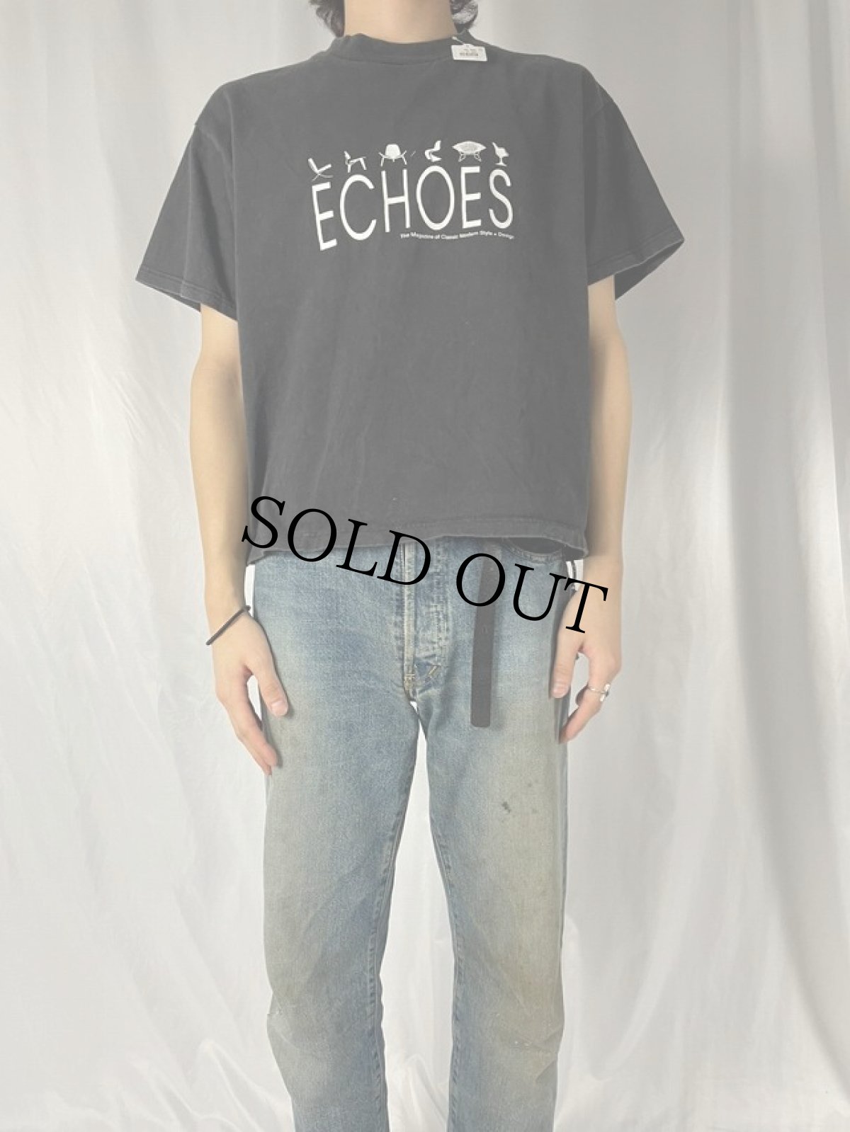 画像2: 90's〜 ECHOES インテリアマガジンプリントTシャツ  L (2)