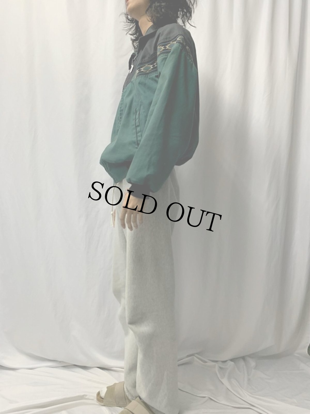 画像3: 80〜90's CANYON GUIDE USA製 ネイティブ柄切り替え ジップジャケット L (3)