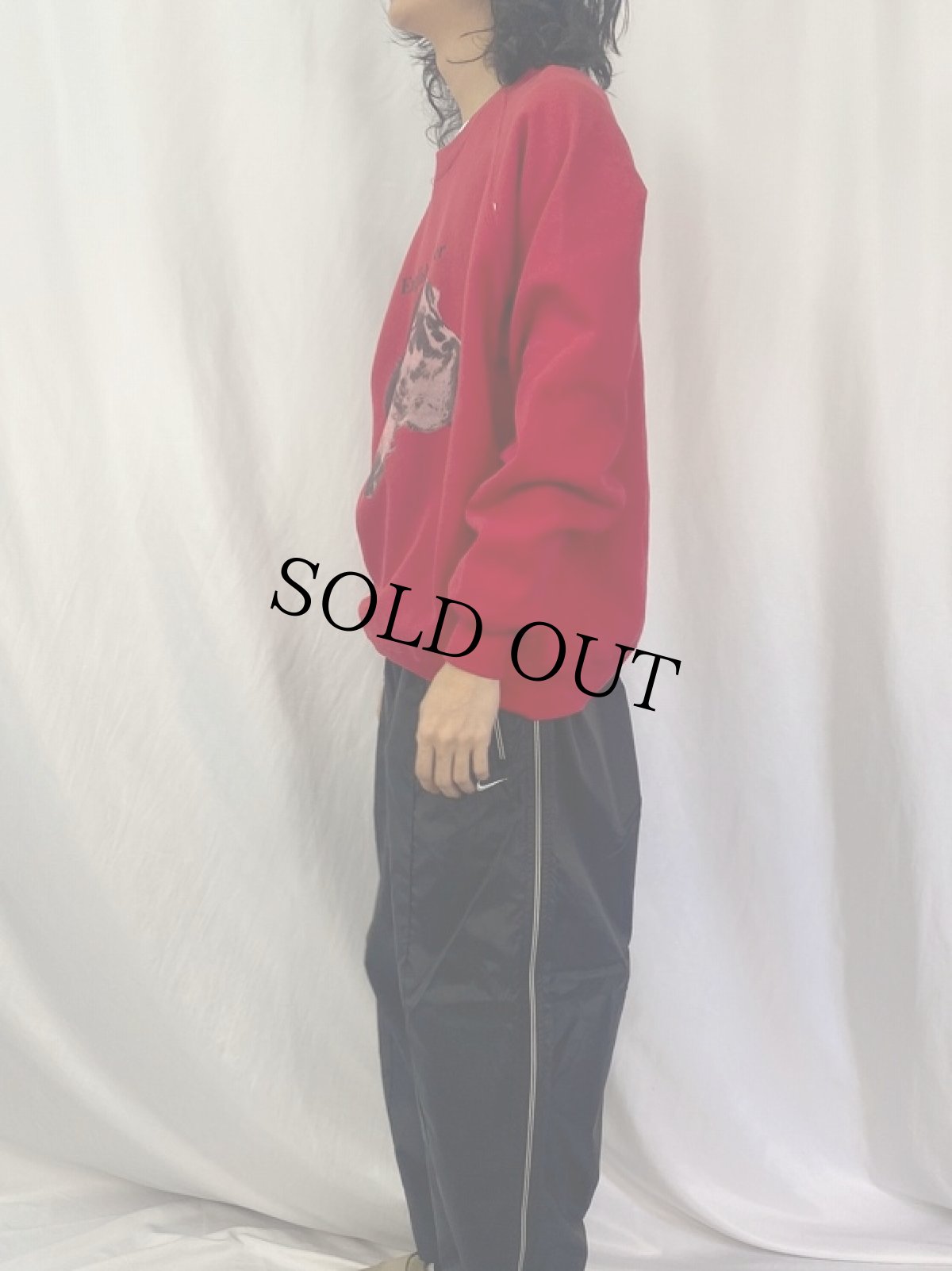 画像3: 90's USA製 "English Setter" 犬プリントスウェット 2X (3)