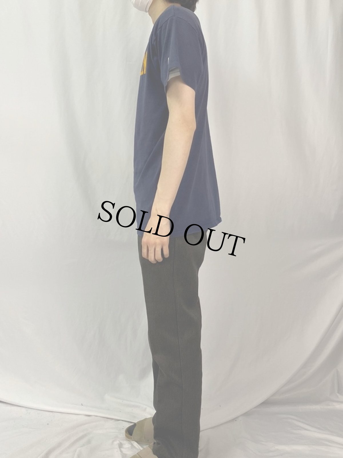 画像3: 80's Champion USA製 トリコタグ "MICHIGAN" プリントTシャツ L (3)