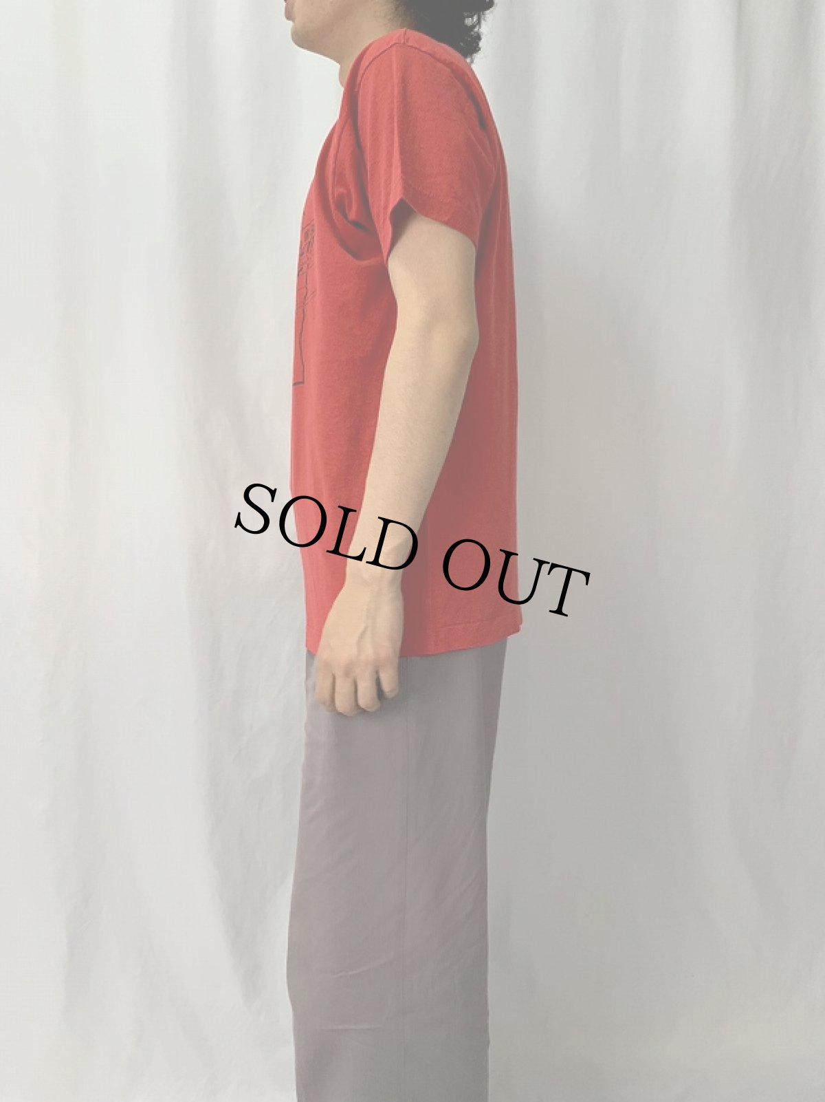 画像3: 80's "WISCONSIN" イラストプリントTシャツ (3)