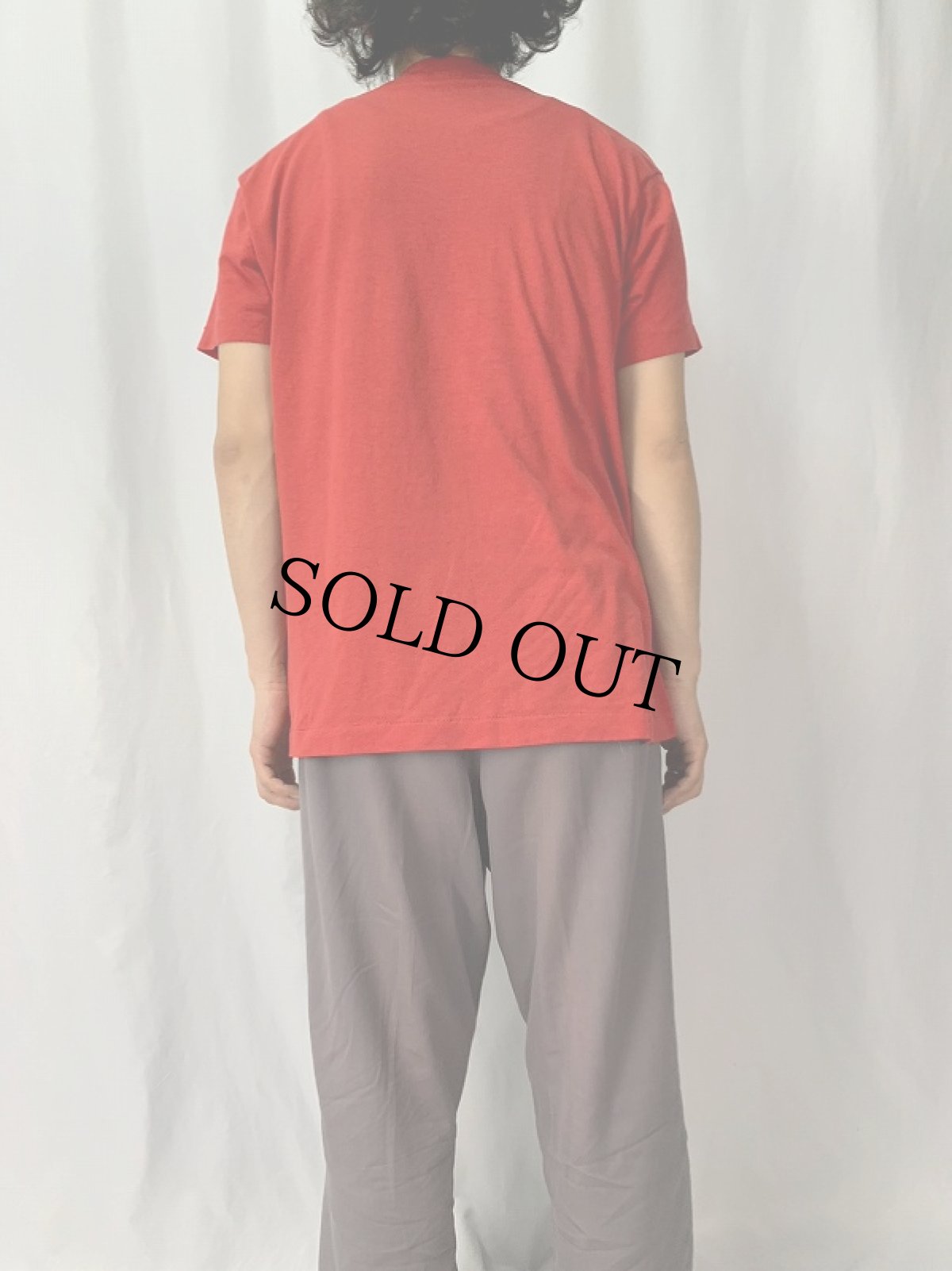 画像4: 80's "WISCONSIN" イラストプリントTシャツ (4)