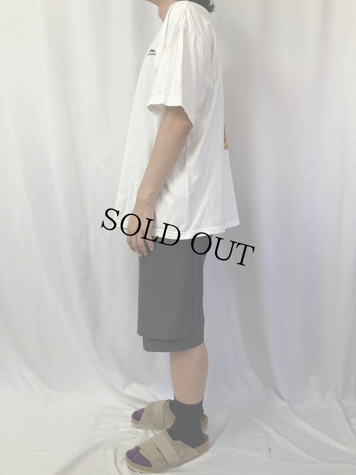 画像4: 90's〜 Patagonia USA製 "MINGLED DESTINIES SHARED HABITAT" 魚プリントTシャツ XL (4)