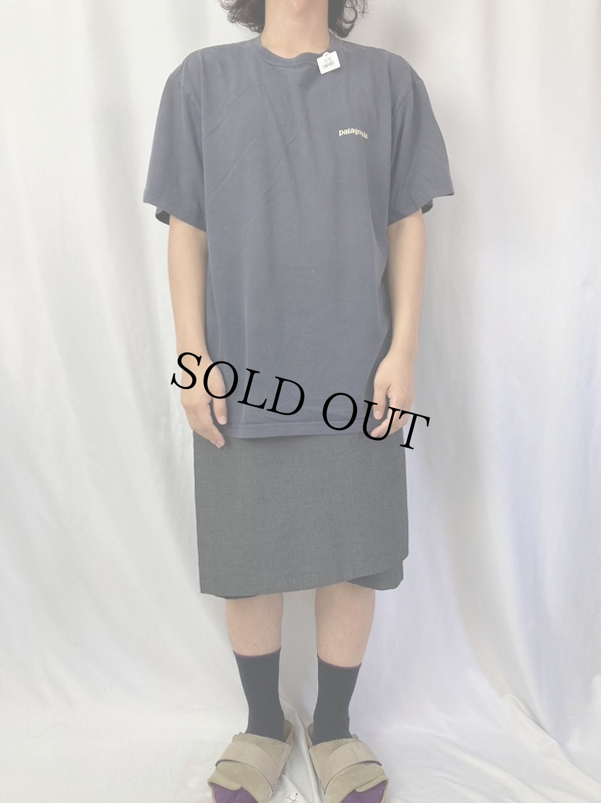 画像3: 2000's Patagonia USA製 浮世絵プリントTシャツ L (3)