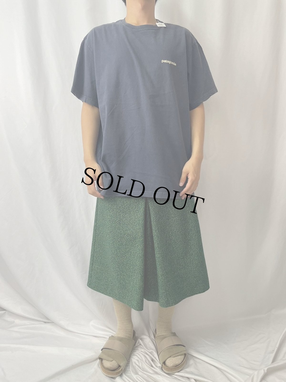 画像3: 2000's Patagonia USA製 浮世絵プリントTシャツ L (3)