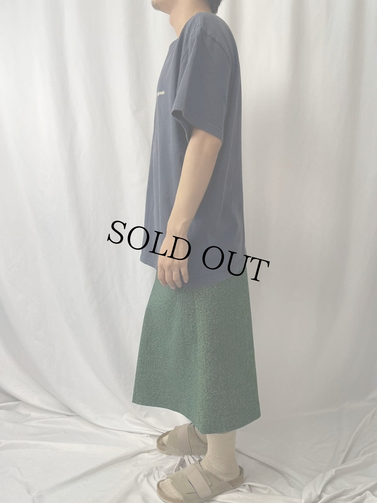 画像4: 2000's Patagonia USA製 浮世絵プリントTシャツ L (4)