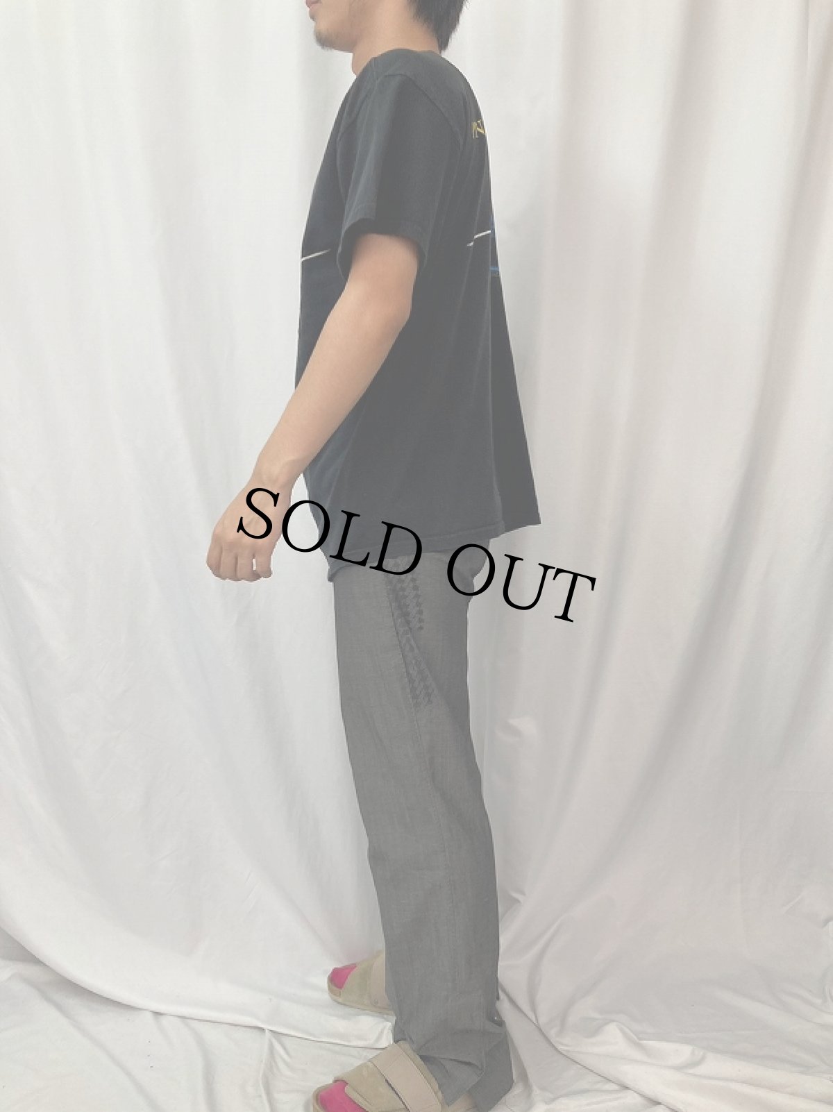 画像3: 2001 PINK FLOYD "DARK SIDE OF THE NOON" ロックバンドTシャツ L (3)