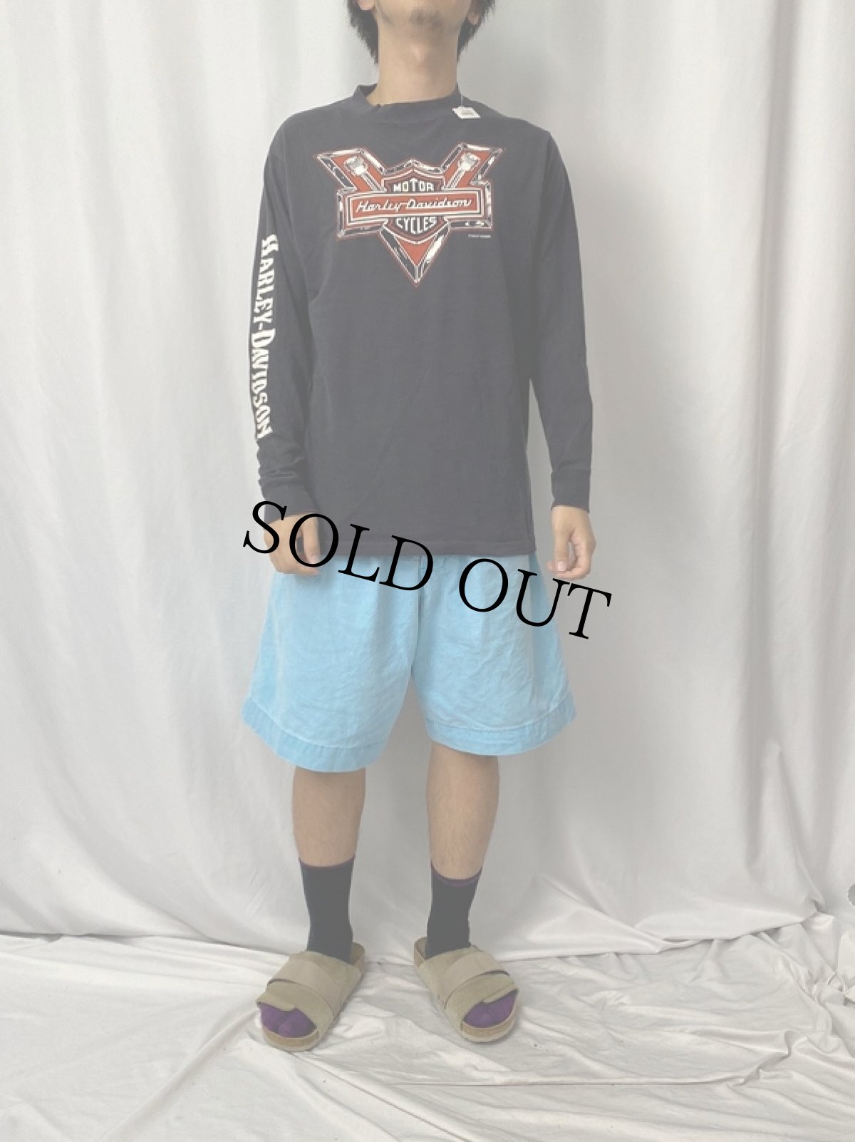 画像2: 90's HARLEY-DAVIDSON USA製 ロゴプリントロンT L (2)