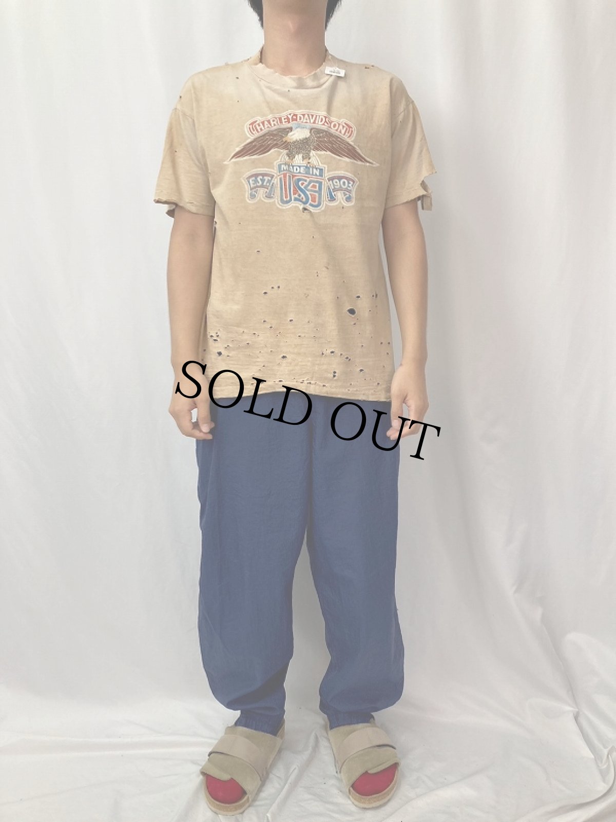 画像2: 70〜80's HARLEY-DAVIDSON USA製 イーグルプリントTシャツ L (2)