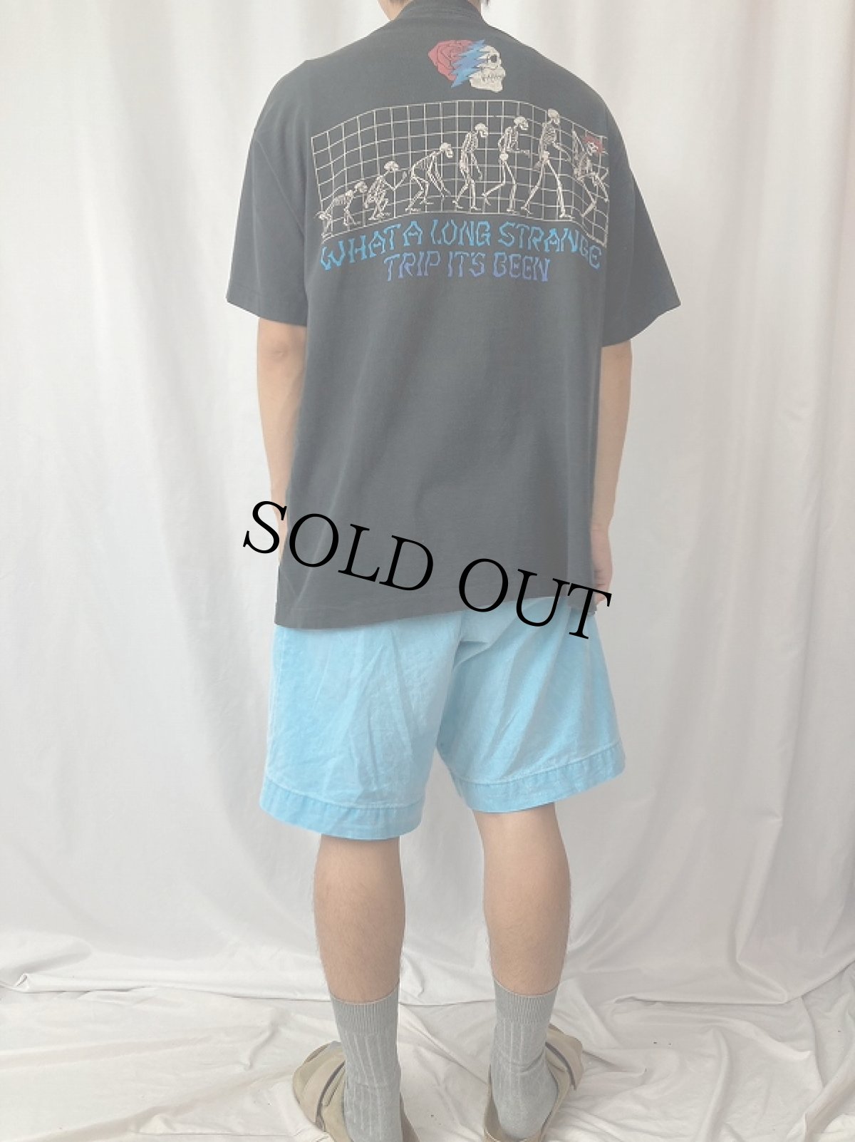 画像4: 90's GRATEFUL DEAD "What a Long Strange Trip It's Been" ロックバンドアルバムTシャツ (4)