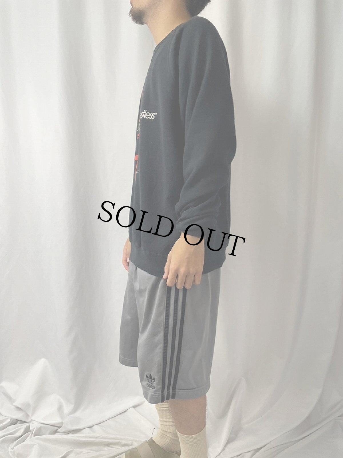 画像3: 90's The Young and the Restless USA製 テレビドラマ ラグランプリントスウェット 2XL (3)