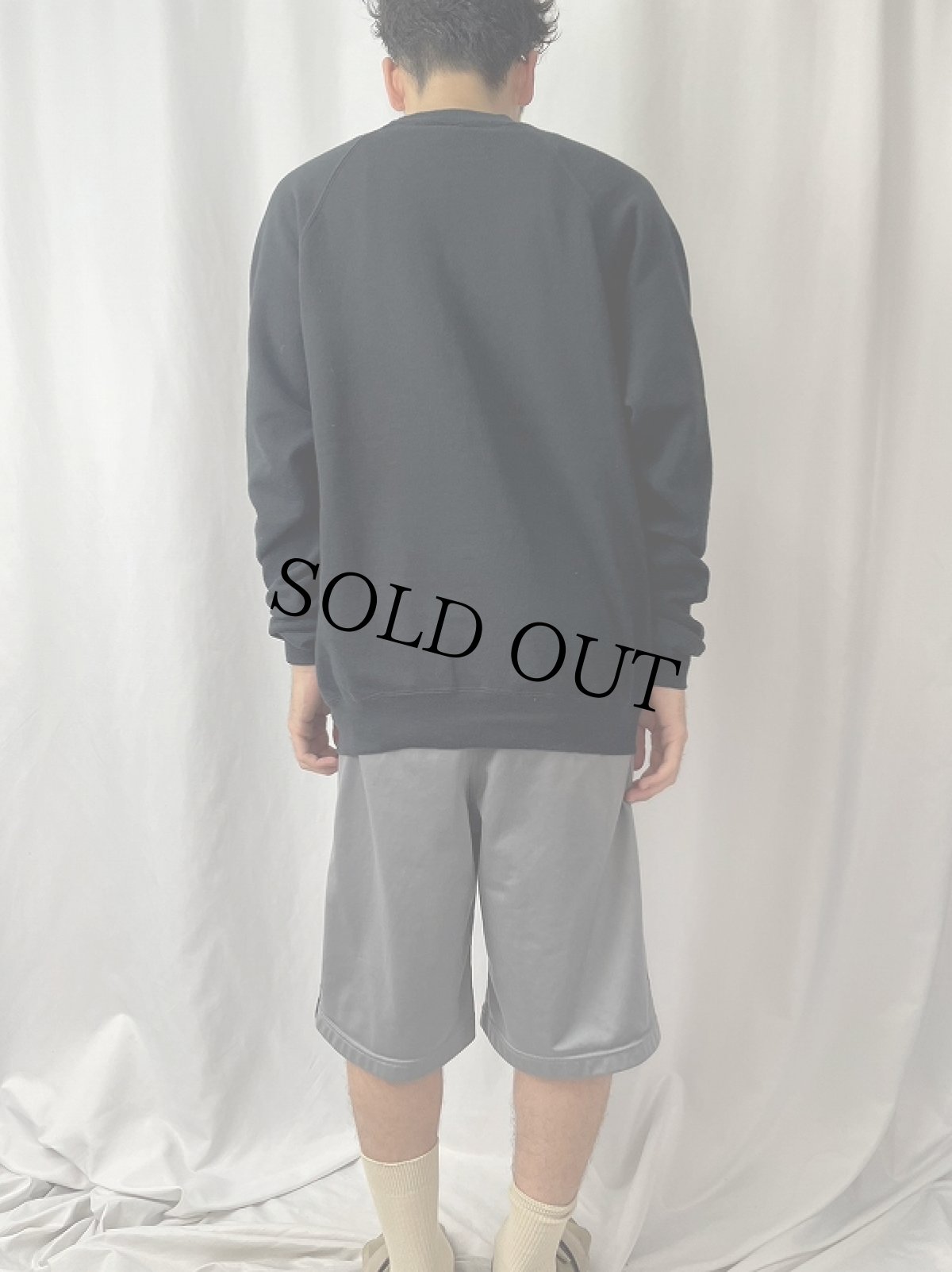 画像4: 90's The Young and the Restless USA製 テレビドラマ ラグランプリントスウェット 2XL (4)