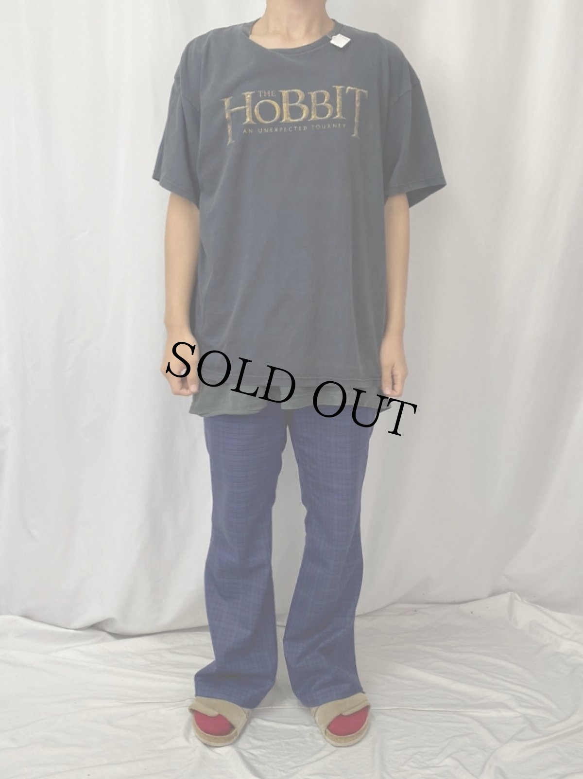 画像2: THE HOBBIT "An Unexpected Journey" ファンタジー映画プリントTシャツ (2)