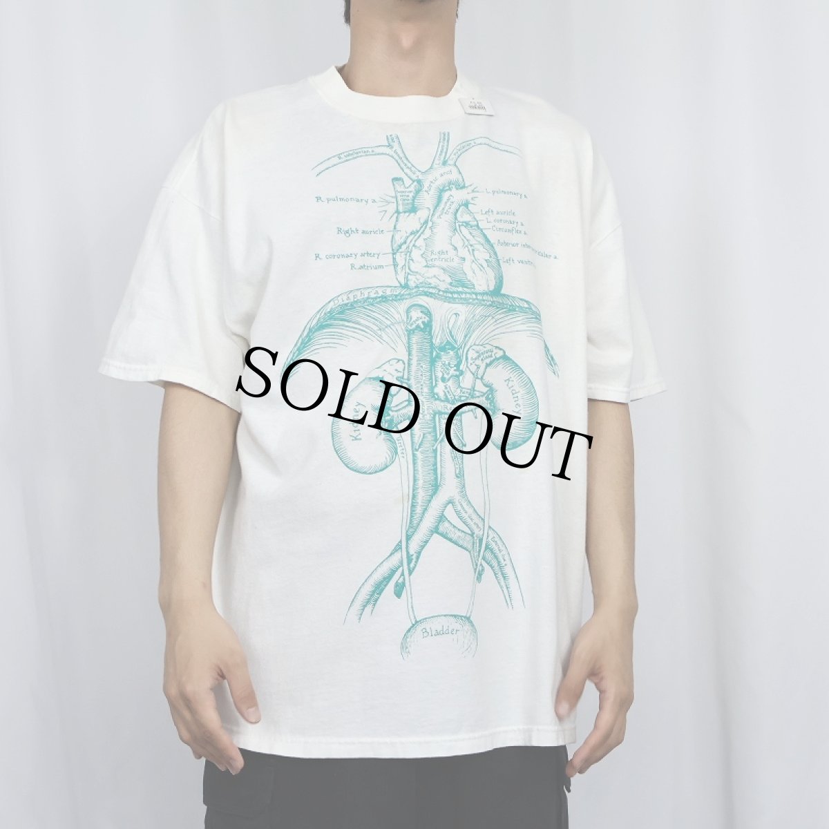 画像2: 80's JERZEES "NDRI" 臓器イラストTシャツ XL (2)