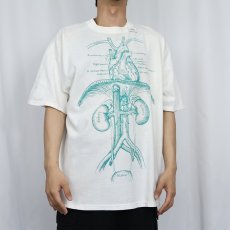 画像2: 80's JERZEES "NDRI" 臓器イラストTシャツ XL (2)