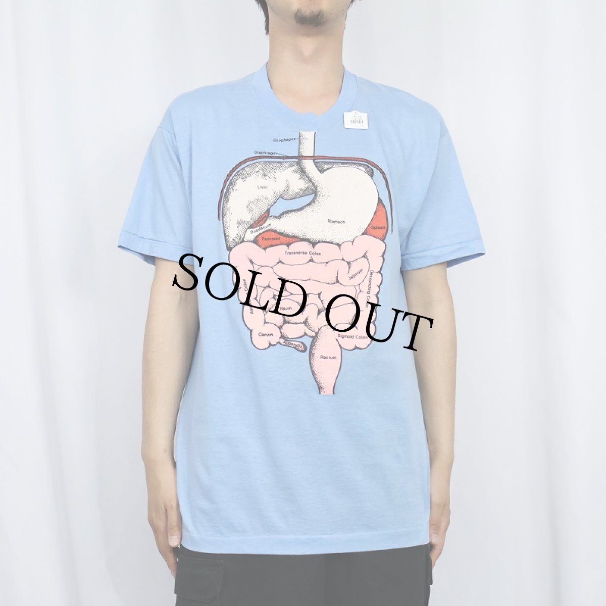 画像2: 80's SCREEN STARS 臓器イラストTシャツ XL (2)