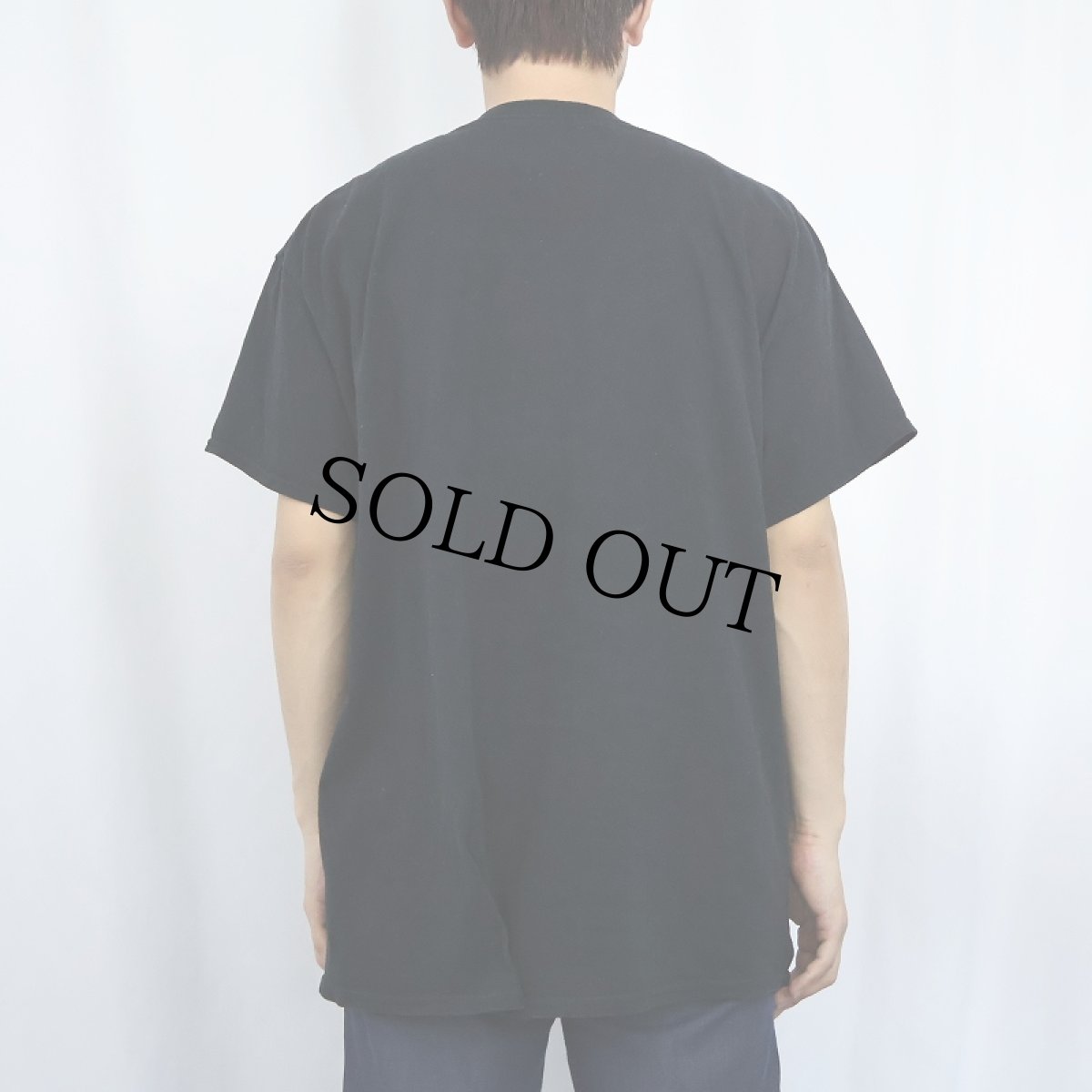 画像3: ALICE IN CHAINS ロックバンド プリントTシャツ BLACK (3)