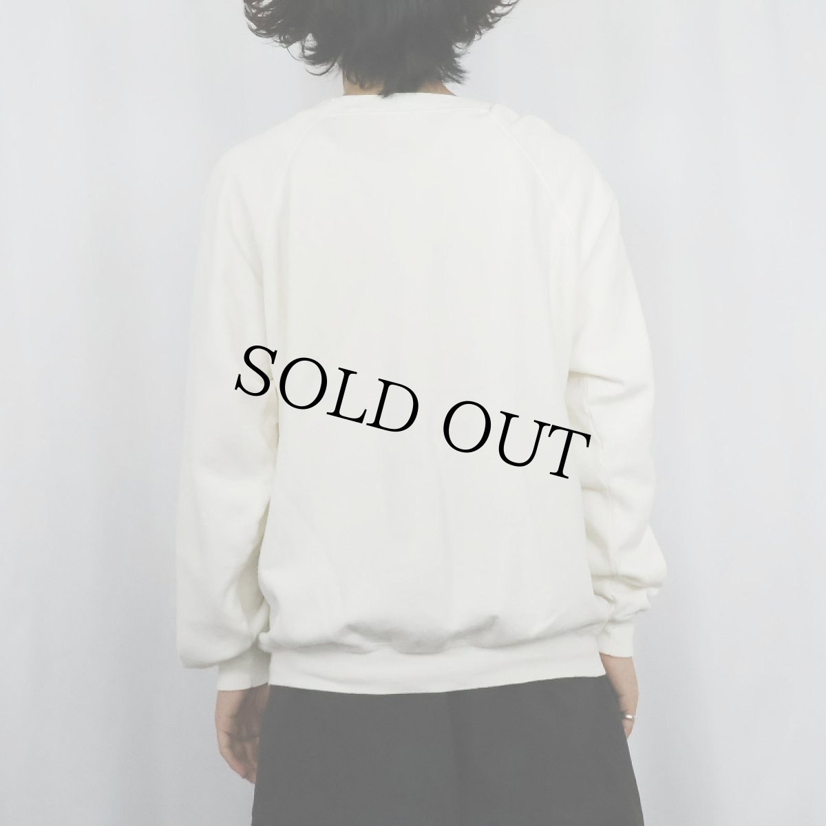 画像3: 80's USA製 "RESPIRATORY THERAPASAURUS" 恐竜プリントスウェット XL (3)