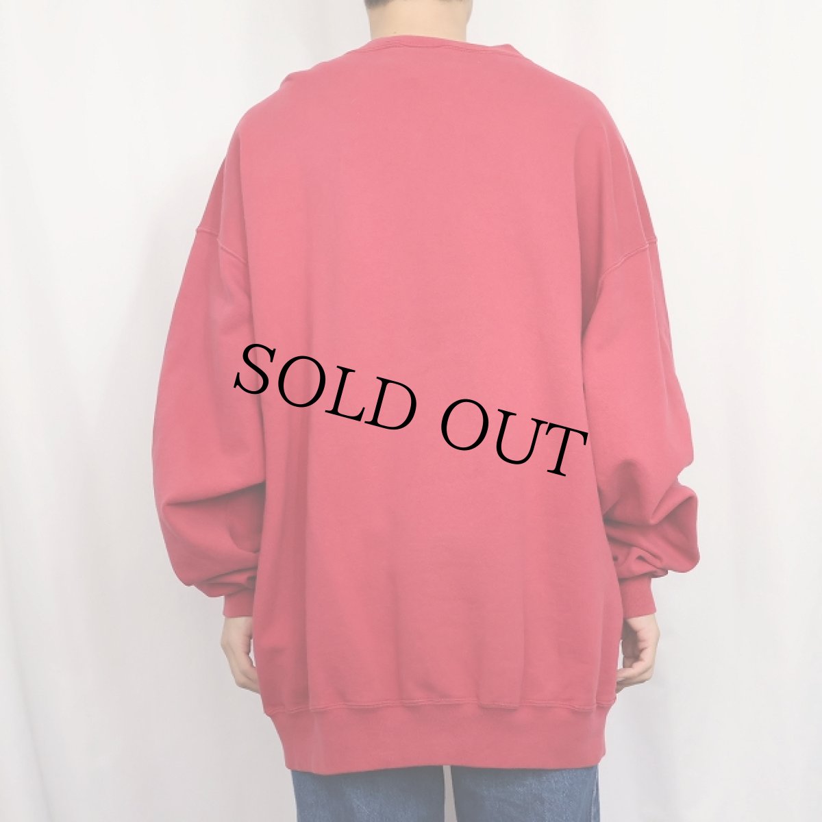 画像3: 90's RUSSELL ATHLETIC USA製 "HIGH COTTON" ロゴ刺繍 前V スウェット XL (3)