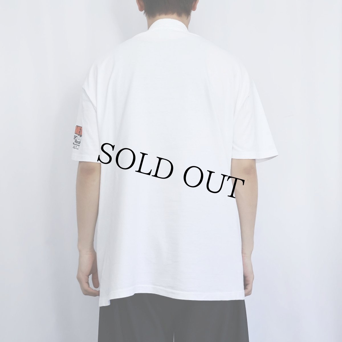 画像3: 90's Degas USA製 "THE DAYTON ART INSTITUTE" 画家プリントTシャツ XL (3)