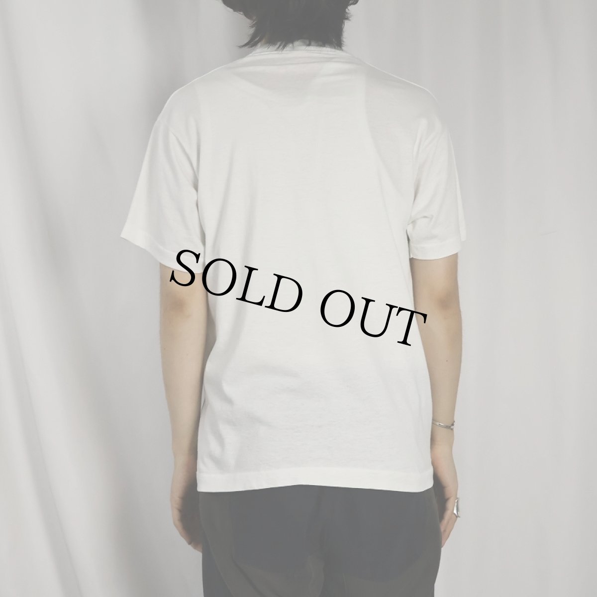 画像3: 〜90's Saurus "Grandmasaurus" 恐竜プリントTシャツ (3)