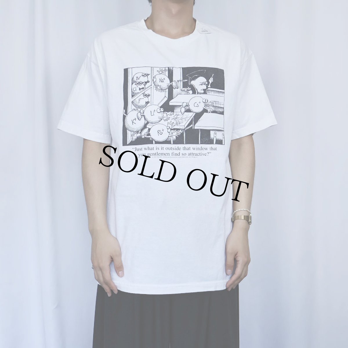 画像2: 90's Nick Kim "Just what is it outside that window that…" 分子イラストプリントTシャツ L (2)