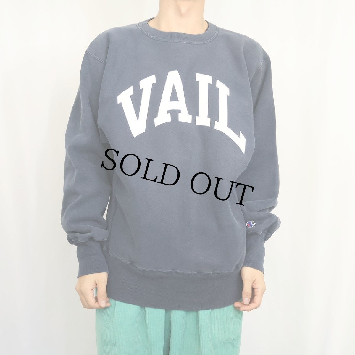 画像2: 90's Champion REVERSE WEAVE "VAIL" プリントスウェット NAVY L (2)