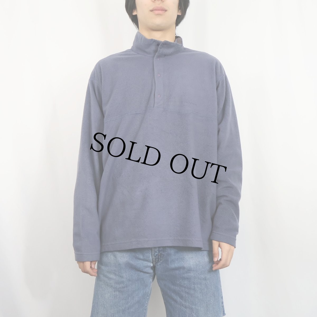 画像2: 90's Patagonia USA製 "MICRO D-LUXE" フリースプルオーバージャケット L (2)