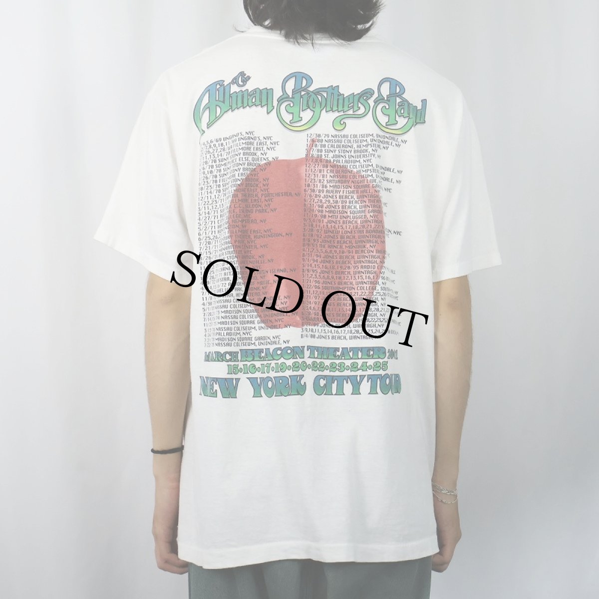 画像4: 90's The Allman Brothers Band USA製 ロックバンドツアーTシャツ L (4)